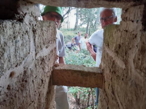 Visite de ruche